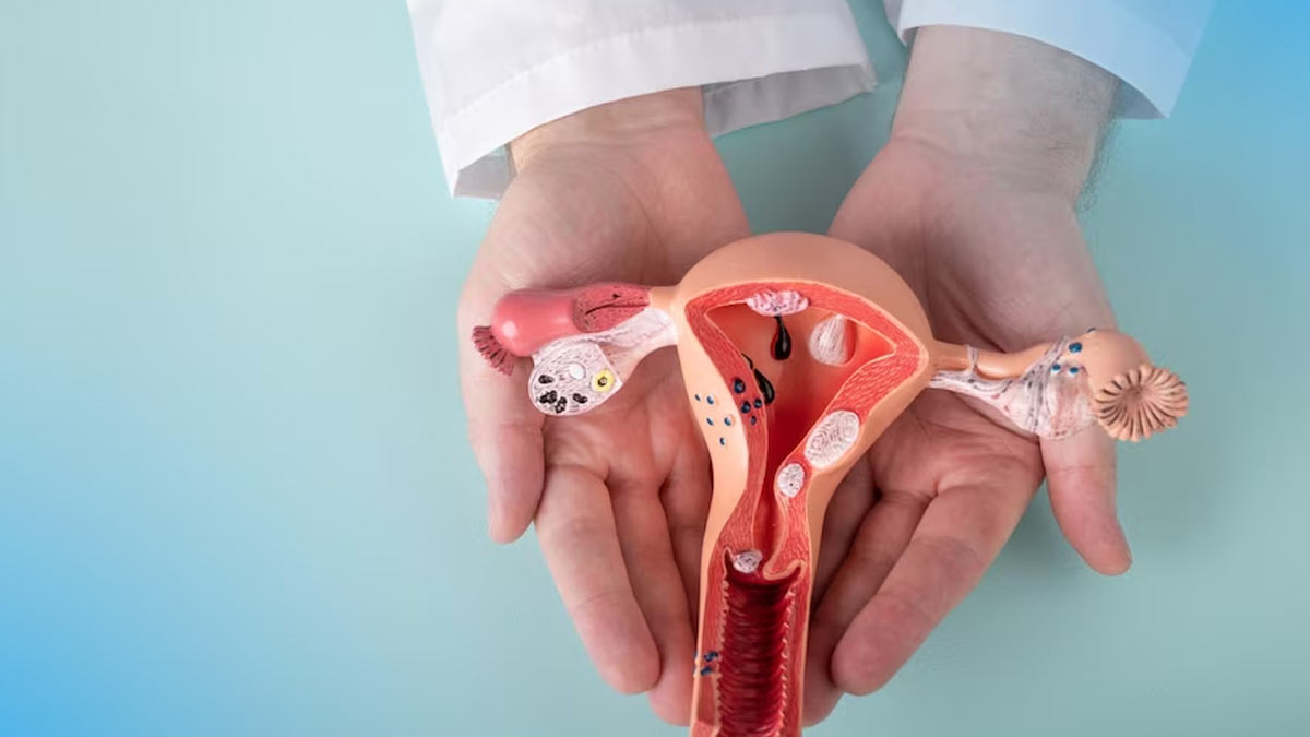 How-times-in-a-year-should-women-get-scans-for-cancer-inside2