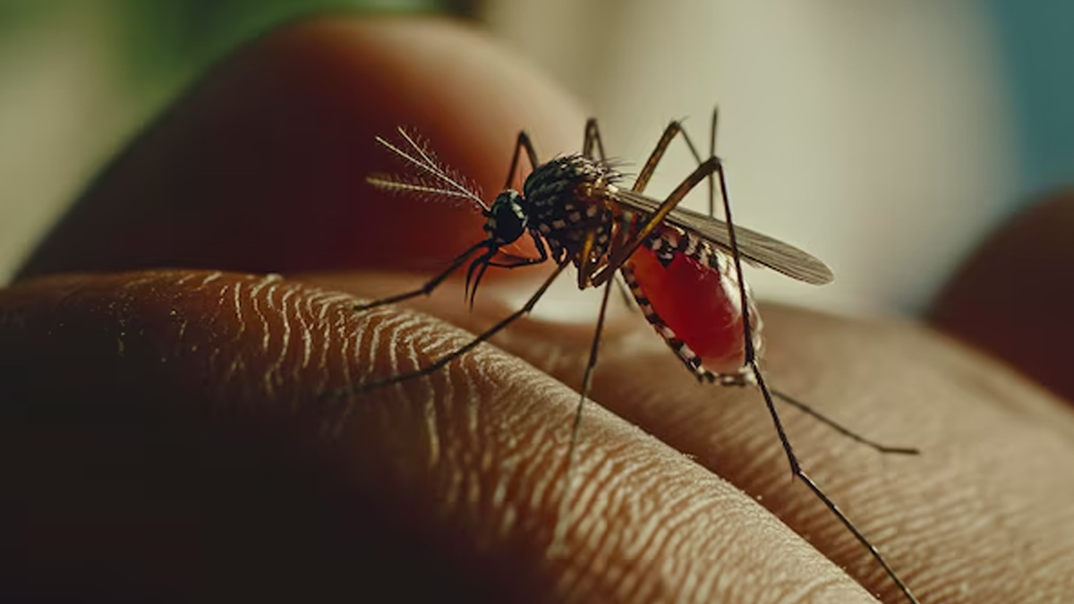malaria-facts