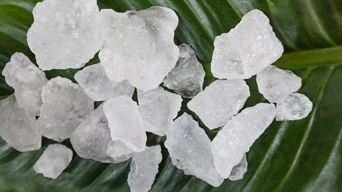 Fitkari for vaginal health