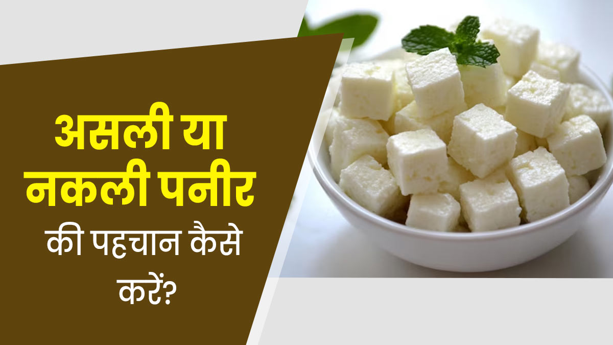 घर पर असली या नकली पनीर की पहचान कैसे करें? एक्सपर्ट से जानें