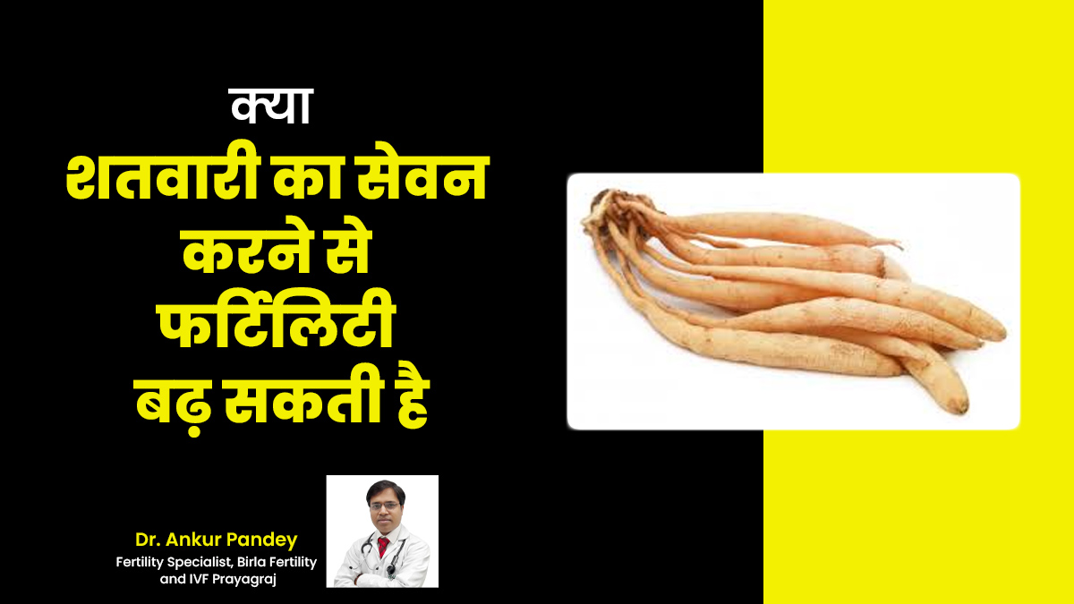 महिलाओं और पुरुषों की फर्टिलिटी बढ़ाने में मददगार है शतावरी, जानें सेवन का तरीका