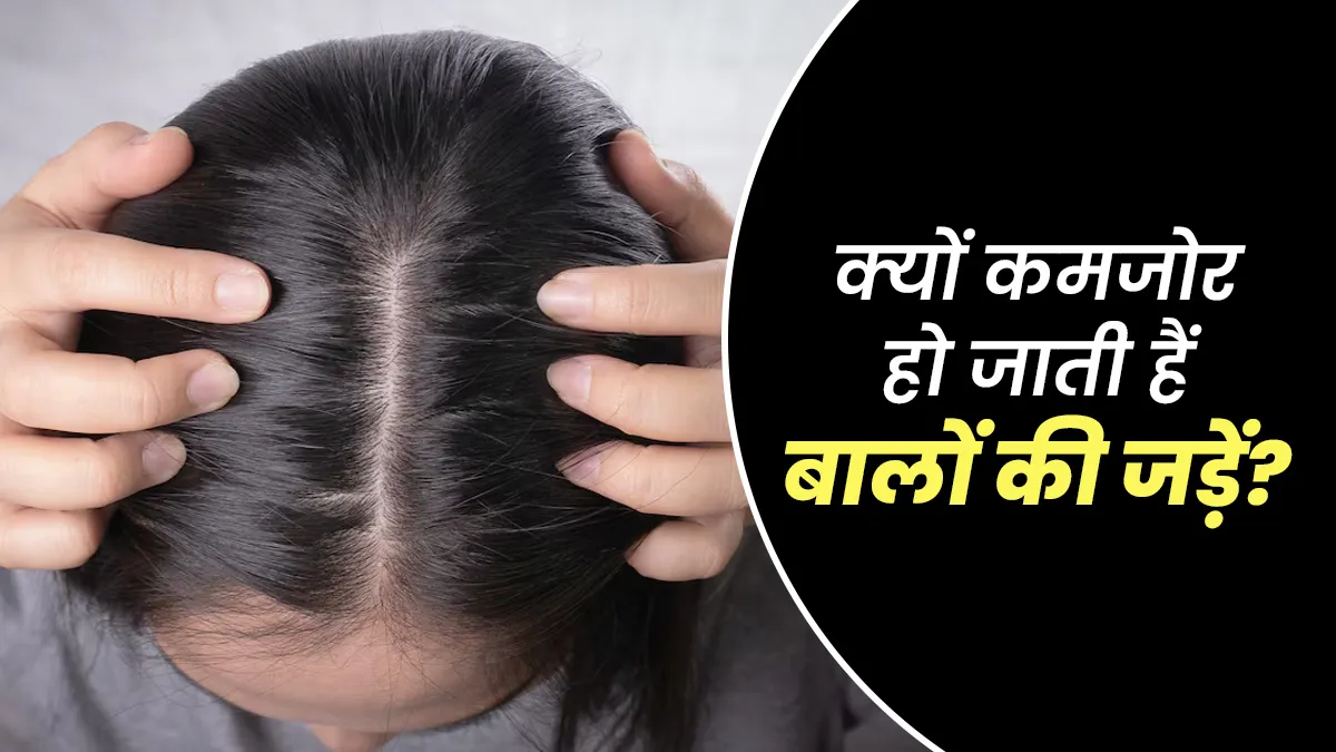 बालों की जड़ें कमजोर क्‍यों हो जाती हैं? डॉक्‍टर से जानें इसका कारण और बचाव के उपाय