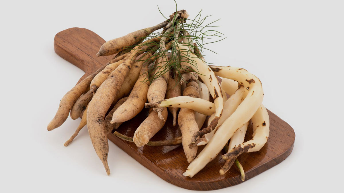 क्या शतवारी का सेवन करने से फर्टिलिटी बढ़ सकती है | Can consuming Shatavari Increase Fertility? Can-consuming-shatavari-increase-fertility-insid2