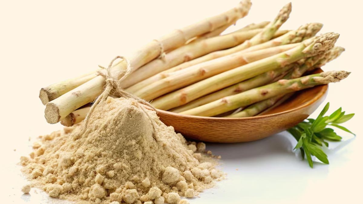 क्या शतवारी का सेवन करने से फर्टिलिटी बढ़ सकती है | Can consuming Shatavari Increase Fertility? Can-consuming-shatavari-increase-fertility-inside