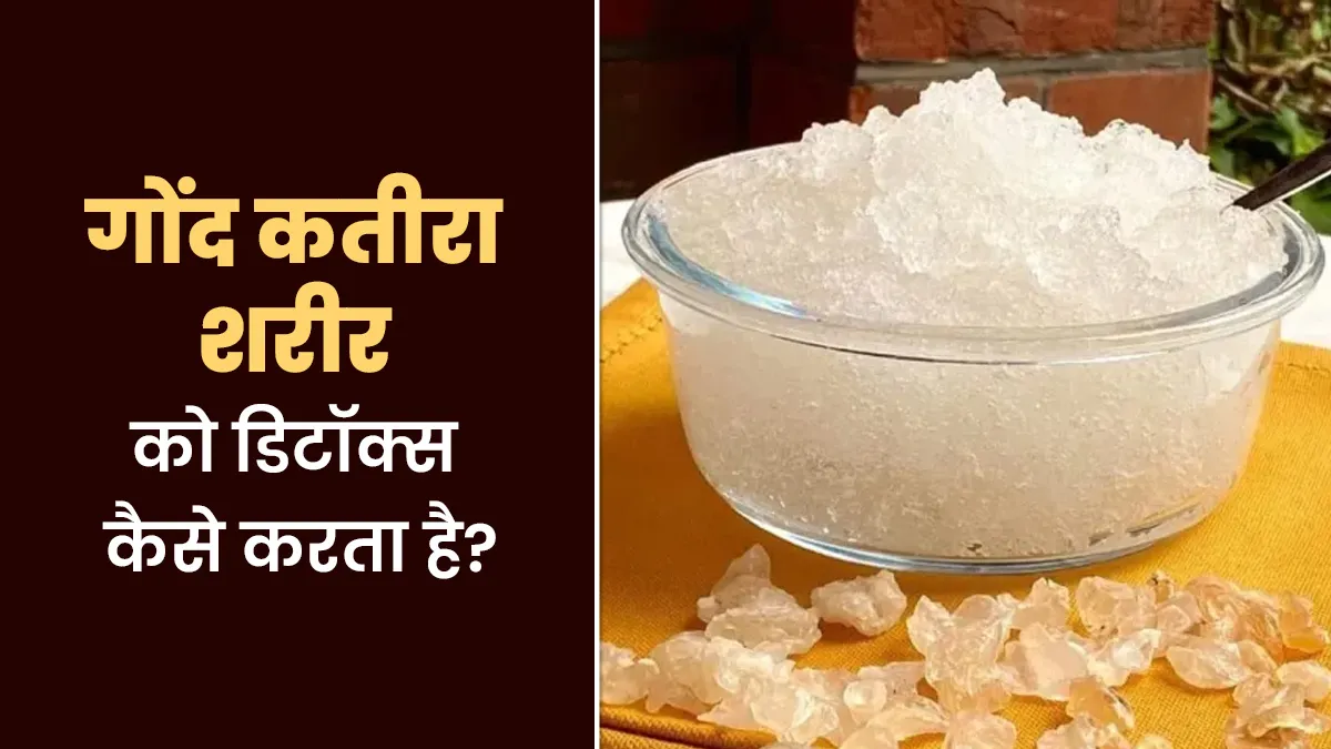 गोंद कतीरा कैसे करता है शरीर को डिटॉक्स? आयुर्वेदाचार्य से जानें