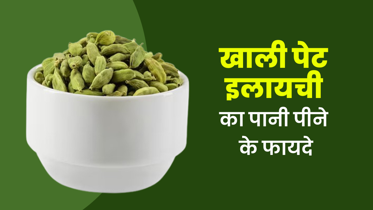Overnight Soak हरी इलायची सुबह खाली पेट खाएं, फायदे जान उड़ जाएंगे होश 7 Overnight Soak