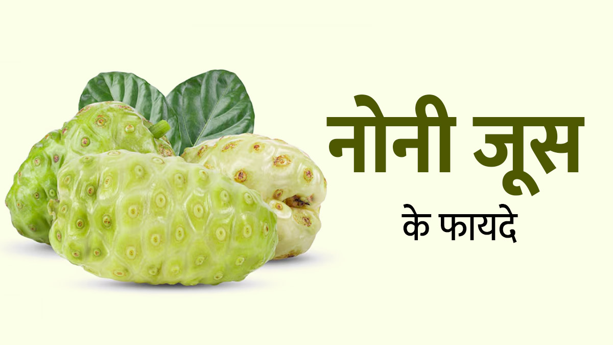 इम्यून सिस्टम मजबूत करने समेत इन 6 समस्याओं में फायदेमंद है नोनी जूस, जानें पीने का तरीका
