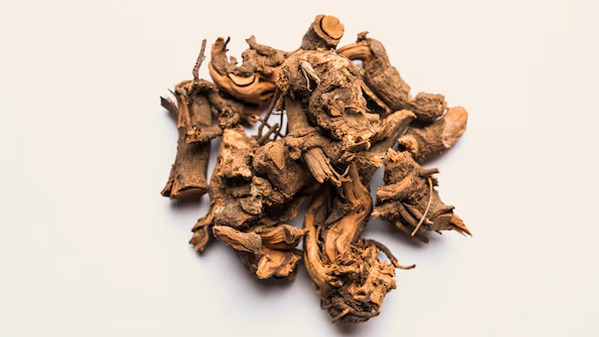 Chitrak Health Benefits