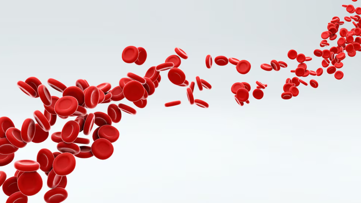 are black grapes good for hemoglobin in hindi 01 (3)