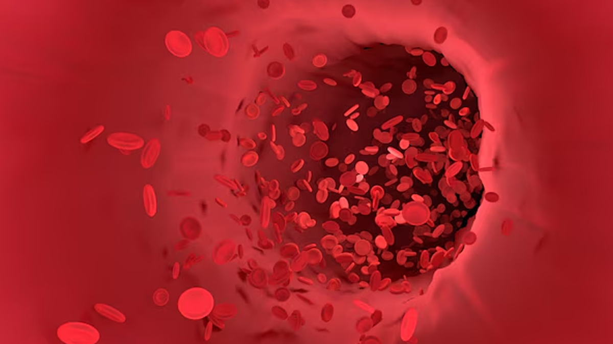 can tomatoes thin your blood in hindi 01 (3)