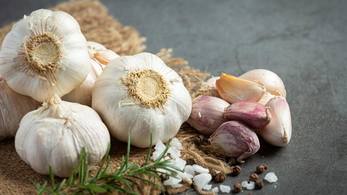 Garlic For fungal infections