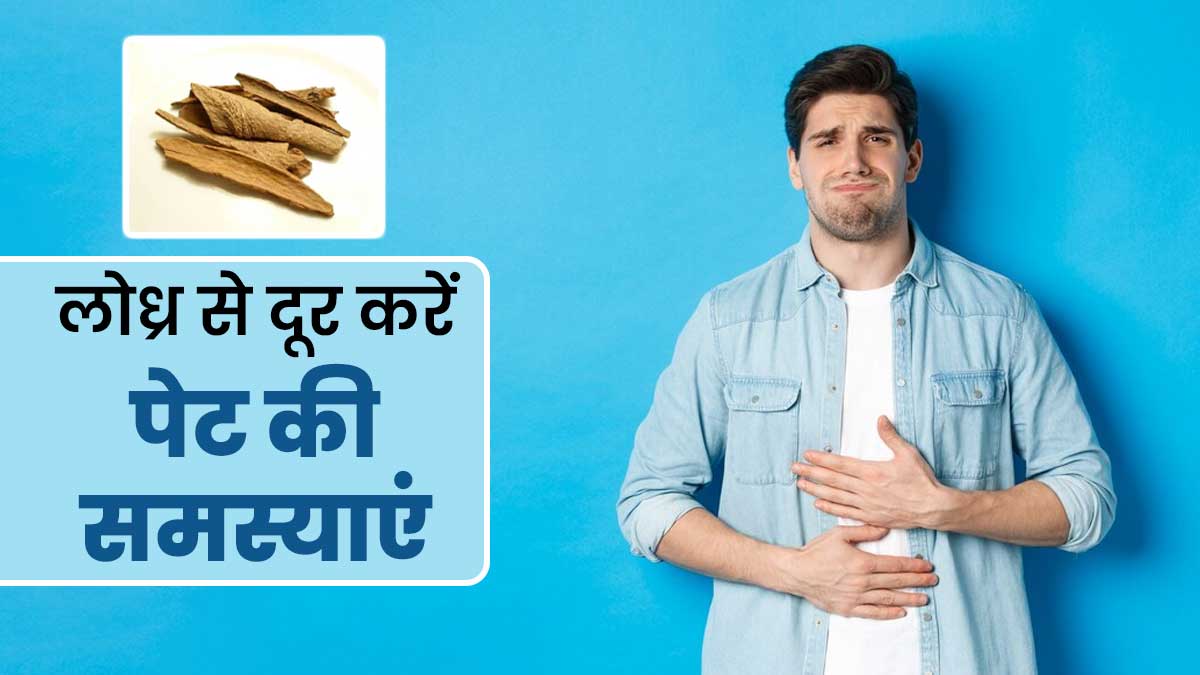 पेट की समस्याओं के लिए लाभकारी है लोध्र, जानें इसके आयुर्वेदिक फायदे और सेवन का तरीका