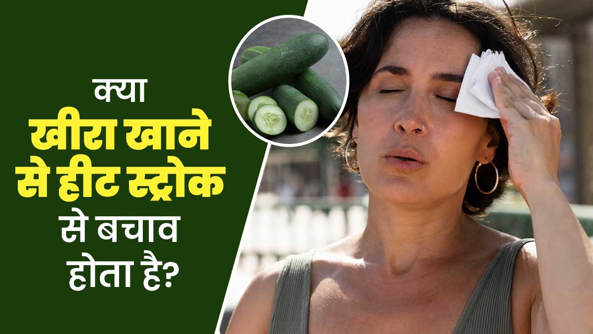 क्या खीरा खाने से हीट स्ट्रोक से बचाव होता है? एक्सपर्ट से जानें