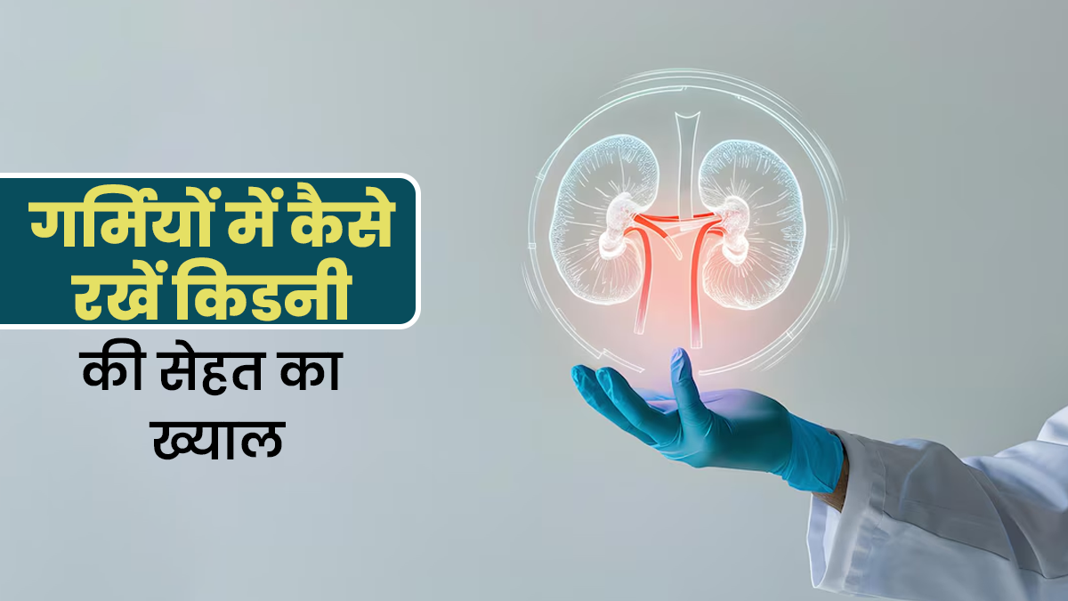 गर्मियों में किडनी को सेहतमंद कैसे रखें? एक्सपर्ट से जानें कुछ खास टिप्स