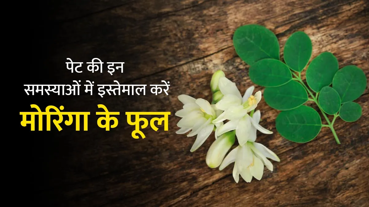 पेट के कीड़े और कमजोर आंतों का आयुर्वेदिक इलाज है मोरिंगा का फूल, जानें उपयोग का तरीका