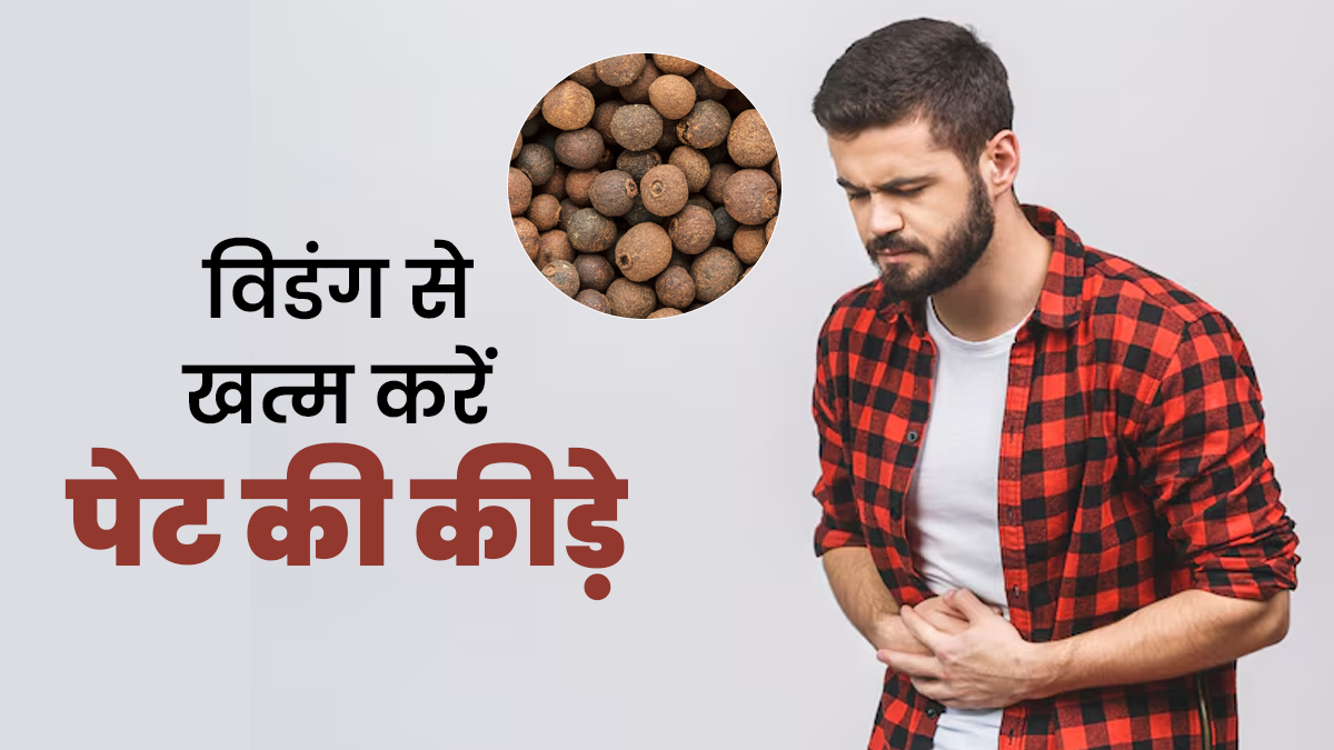 पेट के कीड़ों को खत्म करने में असरदार है विडंग, आयुर्वेदाचार्य से जानें तरीका और फायदे