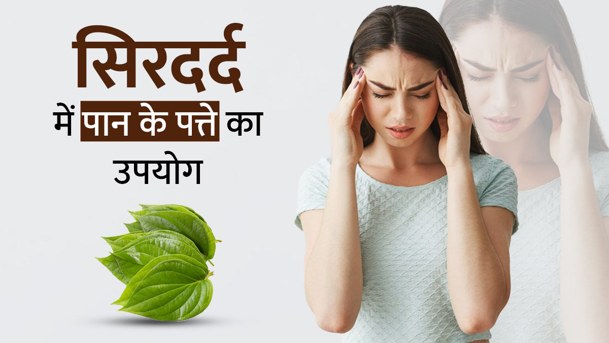 सिरदर्द की समस्या से राहत दिलाने में फायदेमंद होता है पान का पत्ता, जानें इस्तेमाल का तरीका