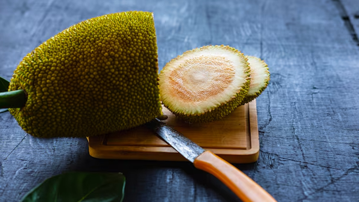 क्या किडनी की पथरी में कटहल खाना सुरक्षित होता है? एक्सपर्ट से जानें