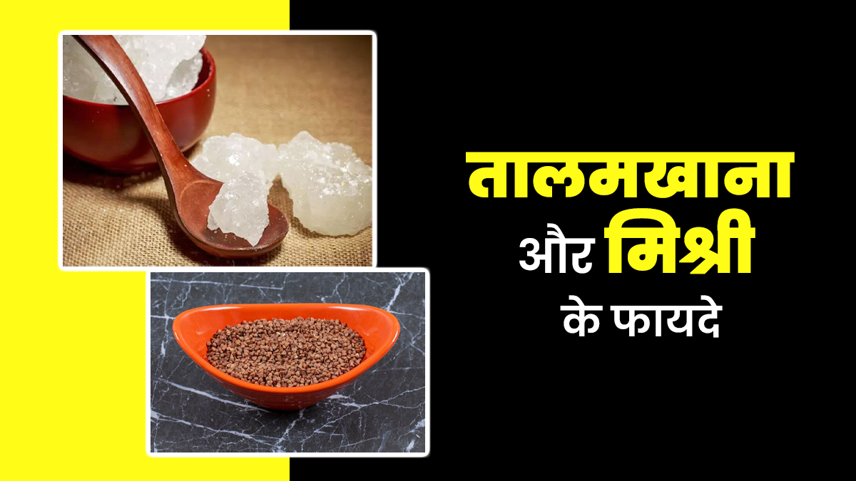 गर्मियों में खाएं तालमखाना और मिश्री, सेहत को मिलेंगे यह खास फायदे