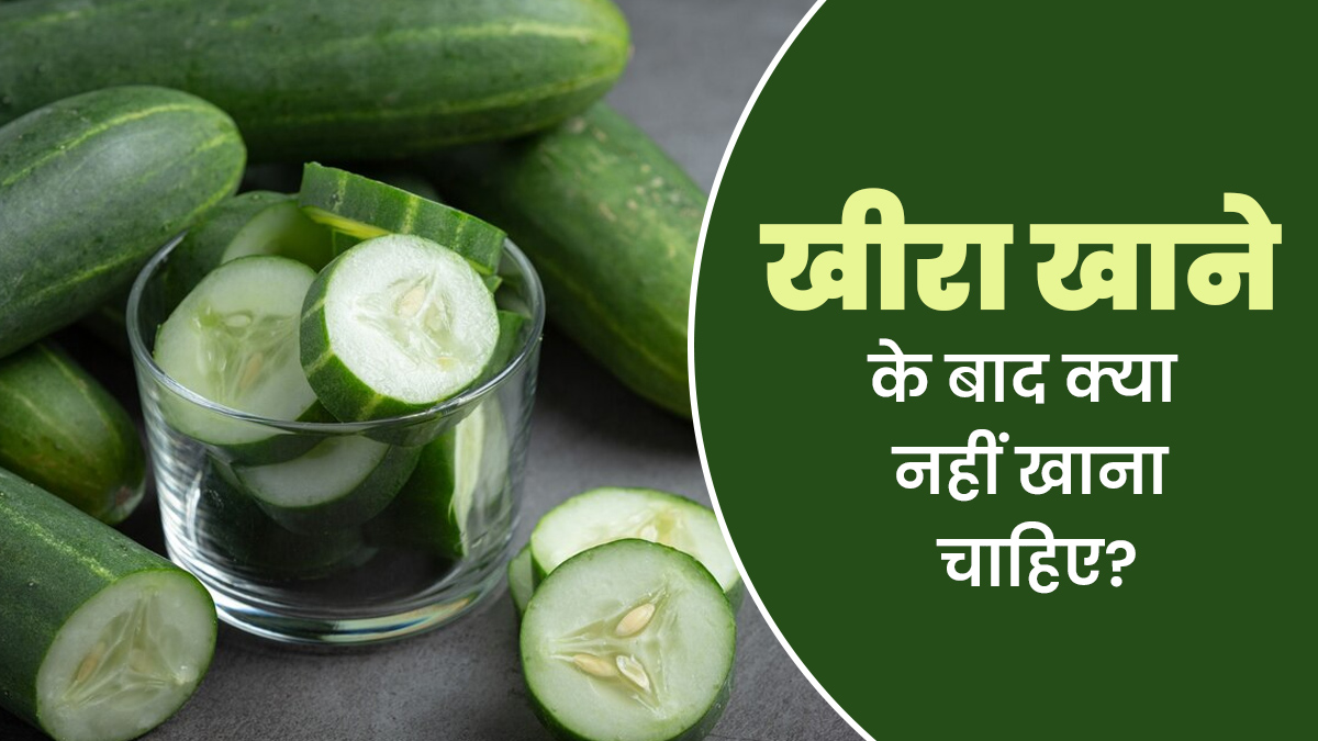 खीरा खाने के बाद क्या नहीं खाना चाहिए? जानें सेहत के नजरिए से सही जानकारी