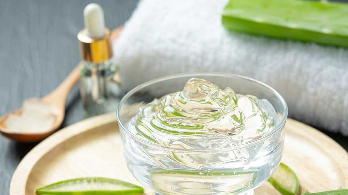 01 - 2025-05-02T130513.001