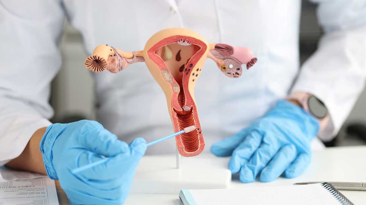 01 - 2025-05-02T193111.323