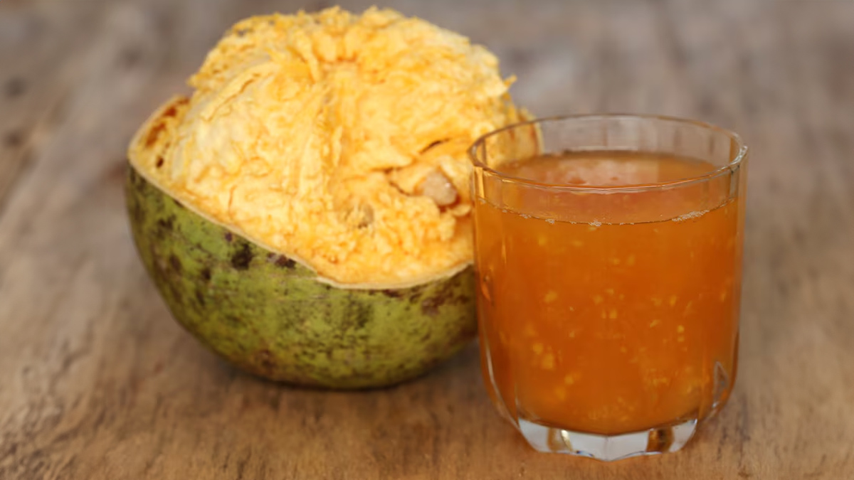 Which drink should we drink in summer