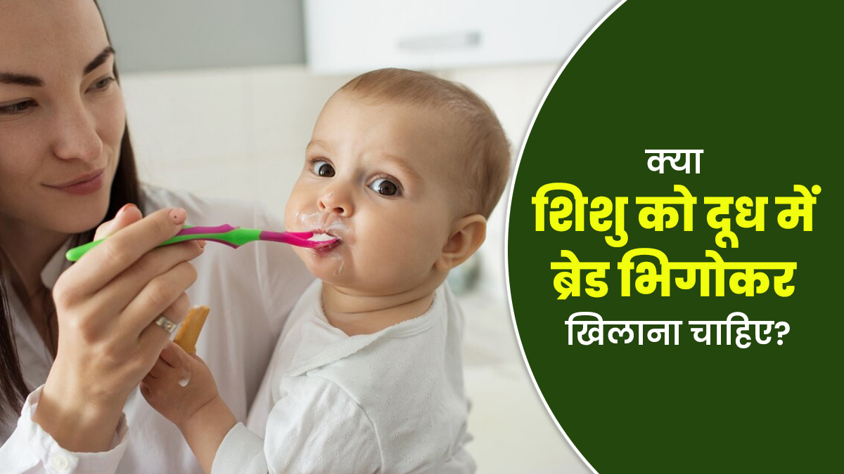 क्या शिशु को दूध में ब्रेड भिगोकर खिलाना सेफ होता है? डॉक्टर से जानें जवाब