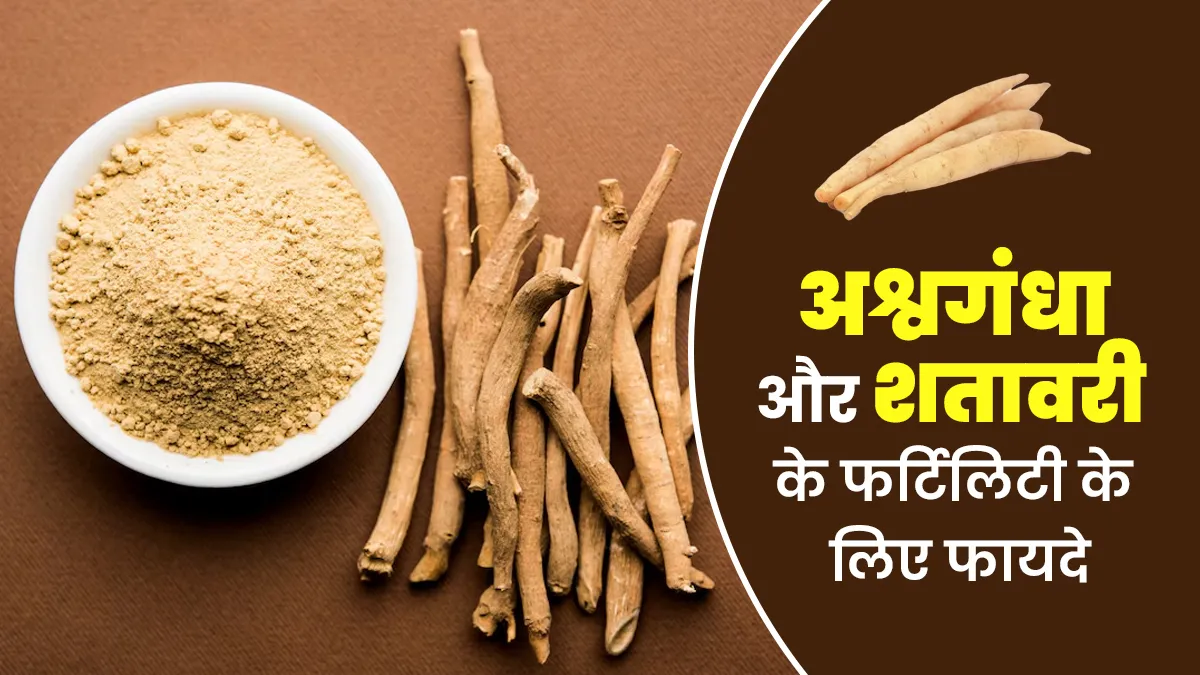 अश्वगंधा और शतावरी फर्टिलिटी के लिए फायदेमंद है?