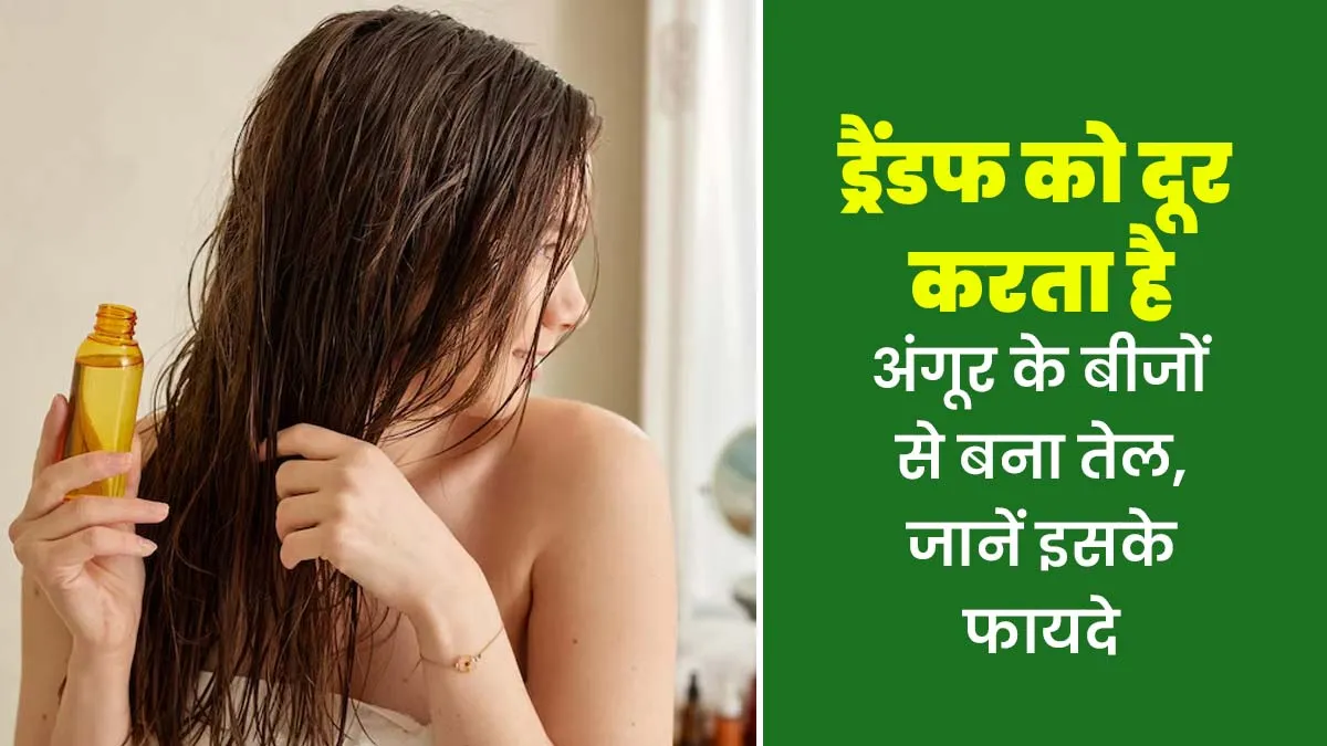 बालों पर रहती है डैंड्रफ तो लगाएं अंगूर के बीजों से बना तेल, जानें इसके फायदे और इस्तेमाल का तरीका