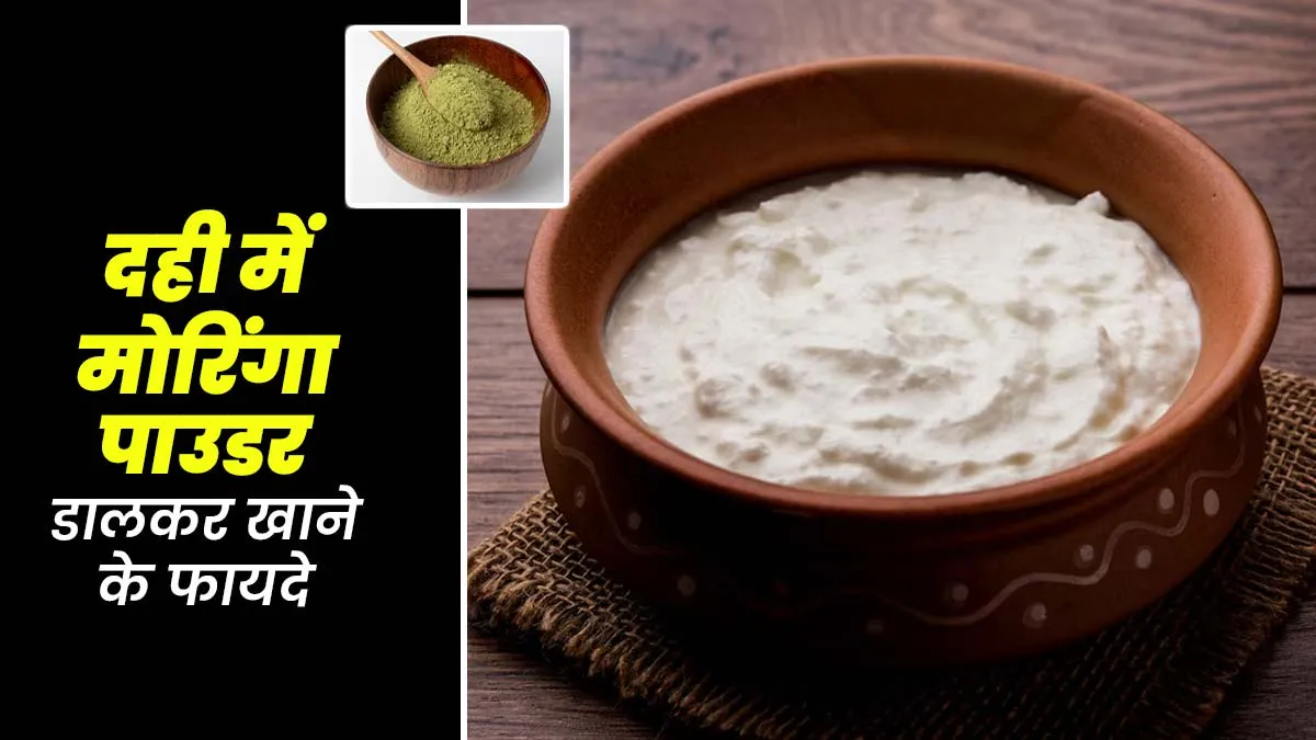 दही में मोरिंगा पाउडर डालकर खाने से सेहत को मिलते हैं ये 5 फायदे, जानें इस बारे में