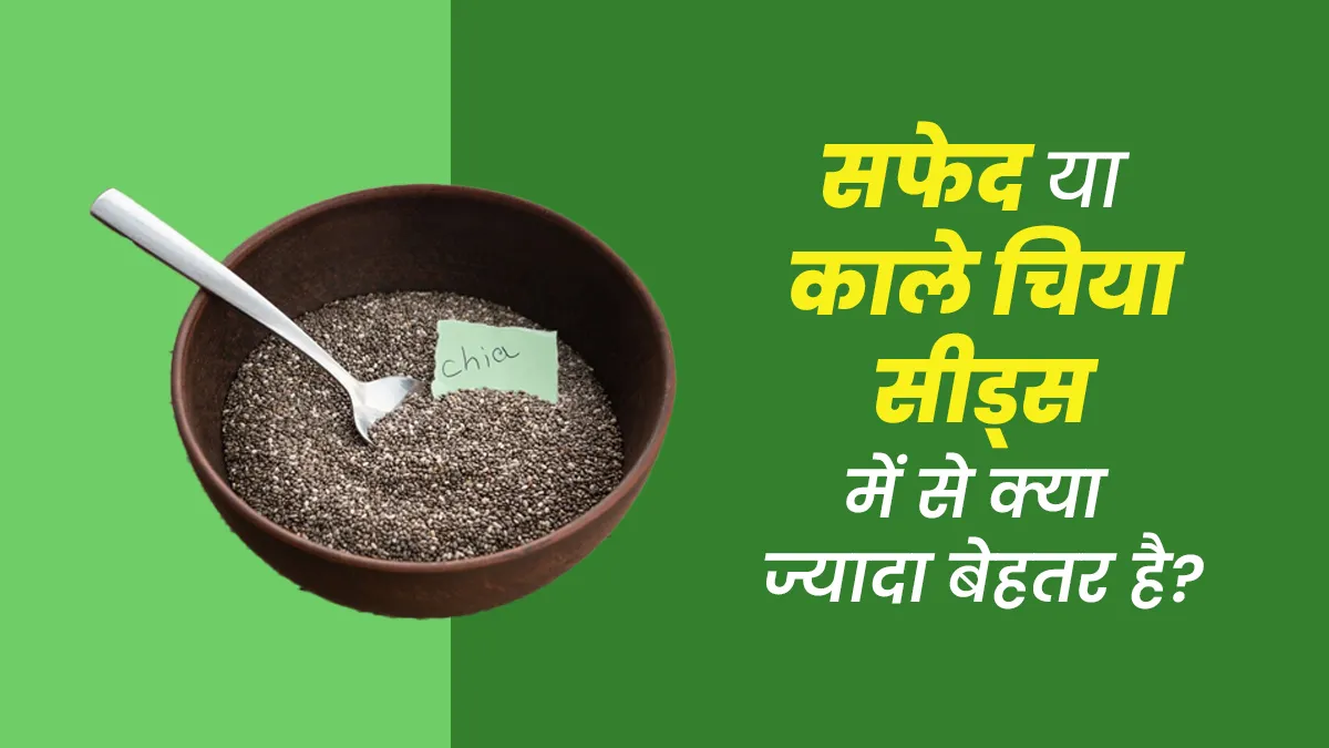 सफेद या काले चिया सीड्स: सेहत के लिए कौन-से ज्यादा फायदेमंद है? जानें एक्सपर्ट से