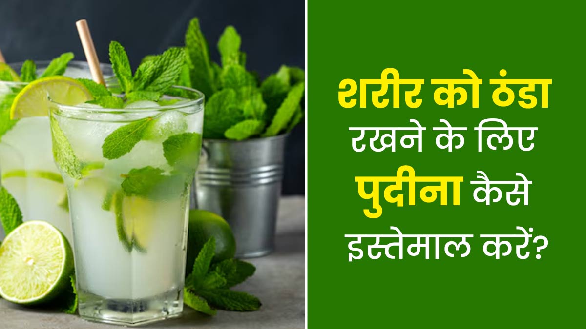 गर्मियों में शरीर को ठंडा रखने के लिए पुदीना कैसे इस्तेमाल करें? जानें एक्सपर्ट से