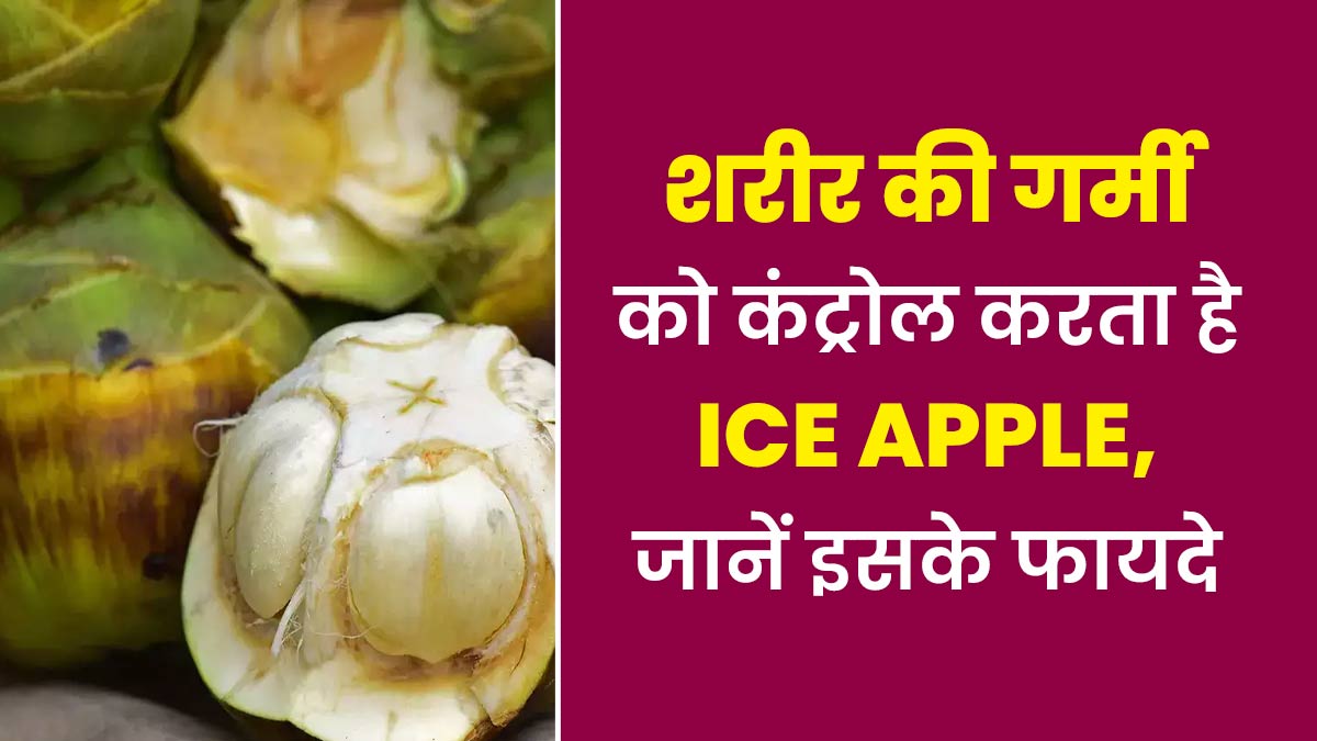 शरीर की गर्मी को कंट्रोल करता है Ice Apple, जानें इसके फायदे