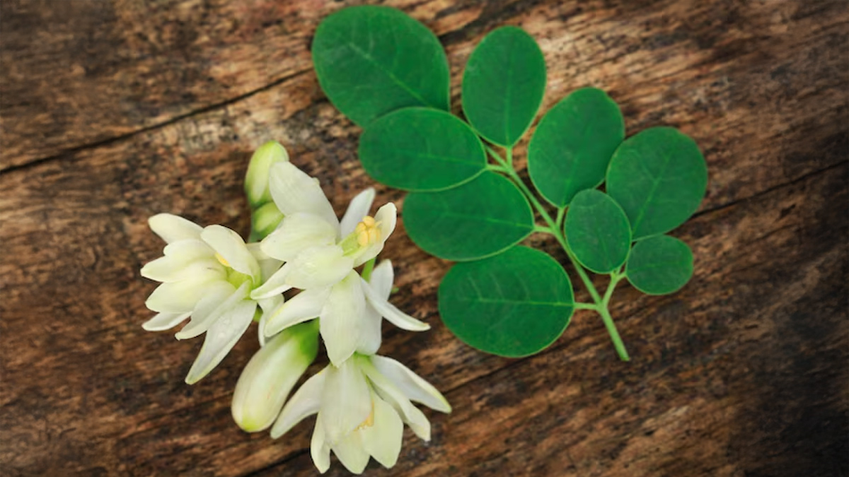 Moringa Flower For Skin