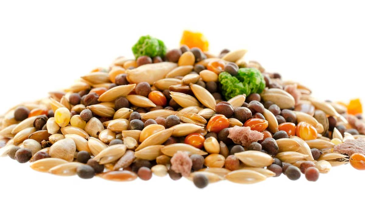 Seeds For Uric Acid