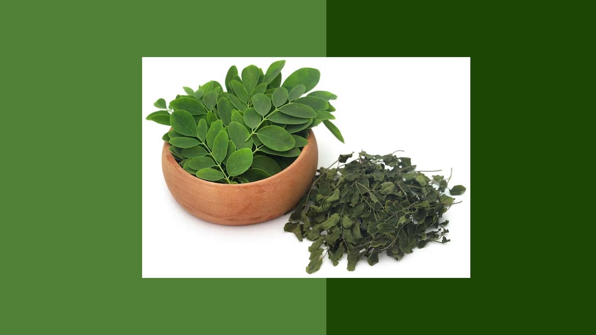 is it safe to eat moringa leaves during summer 01 (5)