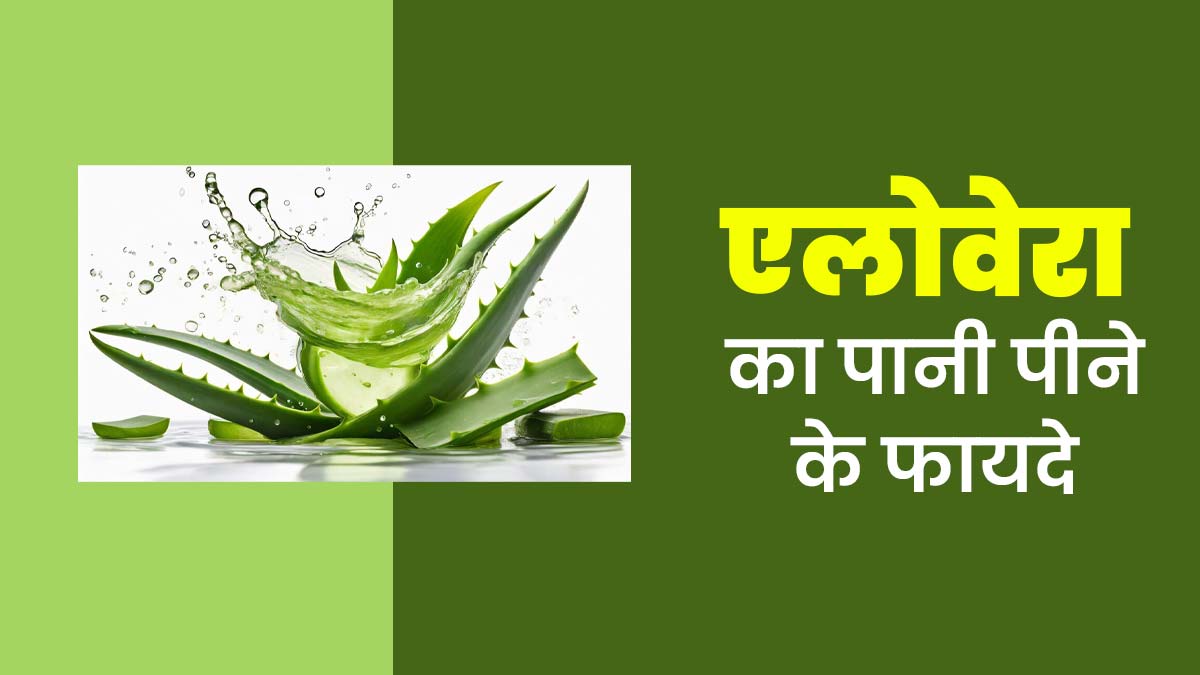गर्मियों में एलोवेरा का पानी पीने से क्या फायदे होते हैं? जानें एक्सपर्ट की राय