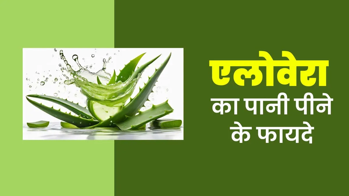 गर्मियों में एलोवेरा का पानी पीने से क्या फायदे होते हैं? जानें एक्सपर्ट की राय
