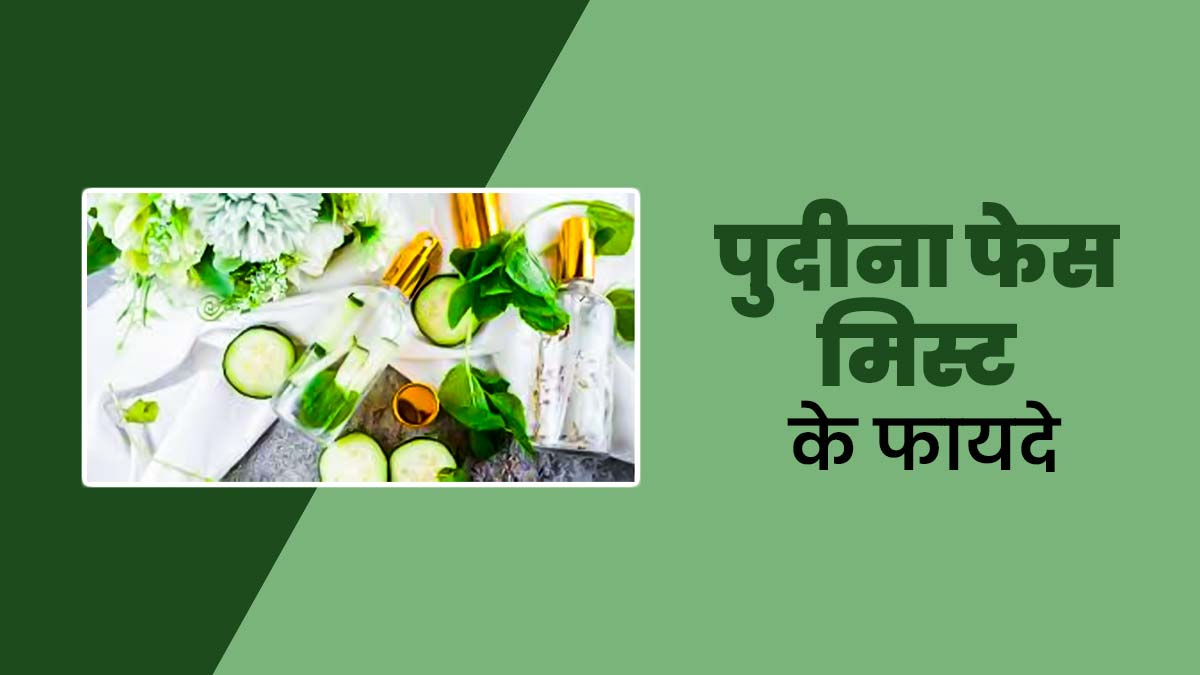 गर्मियों में पुदीने की पत्तियों से बनाएं फेस मिस्ट, स्किन को मिलेगी ठंडक