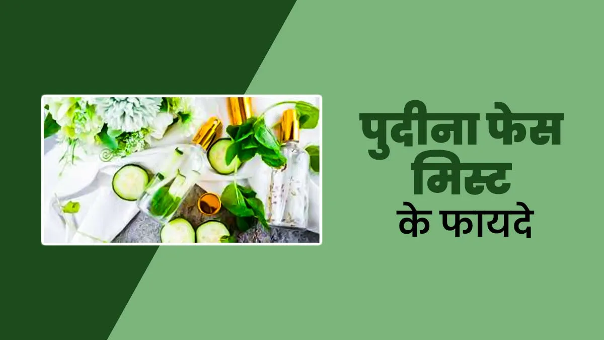 गर्मियों में पुदीने की पत्तियों से बनाएं फेस मिस्ट, स्किन को मिलेगी ठंडक