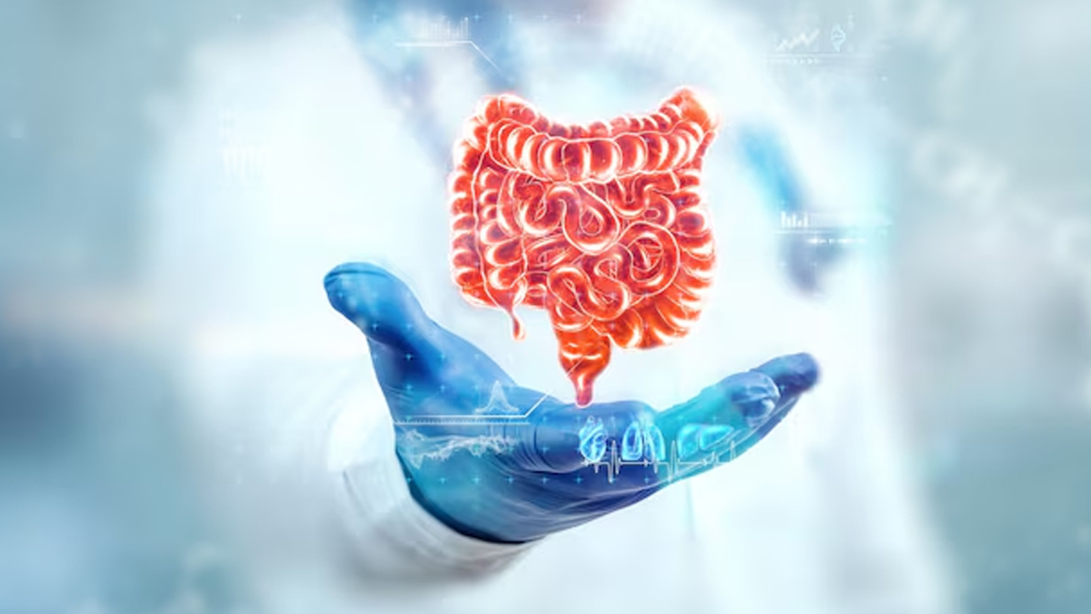 gut health (2)
