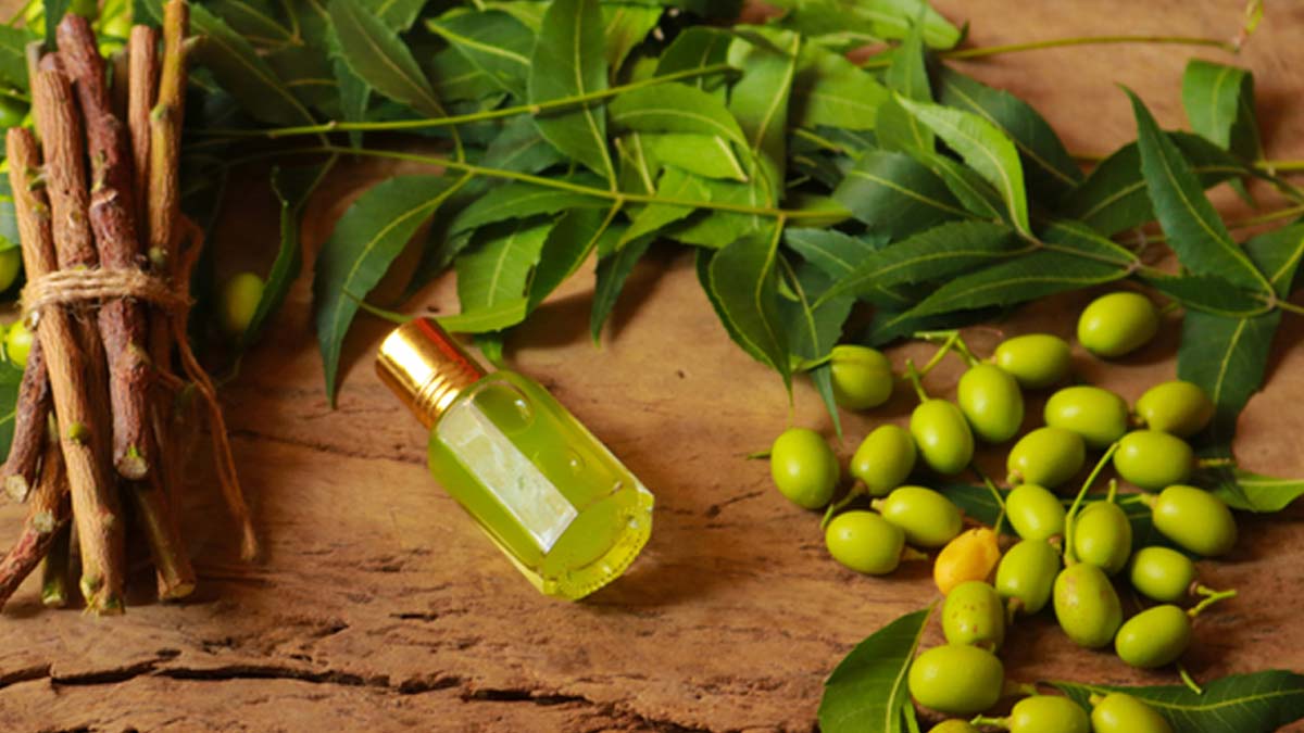 neem-inside-2