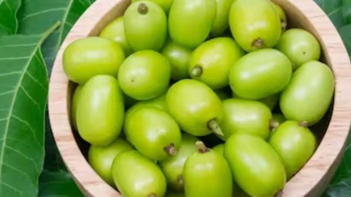 neem-inside-3