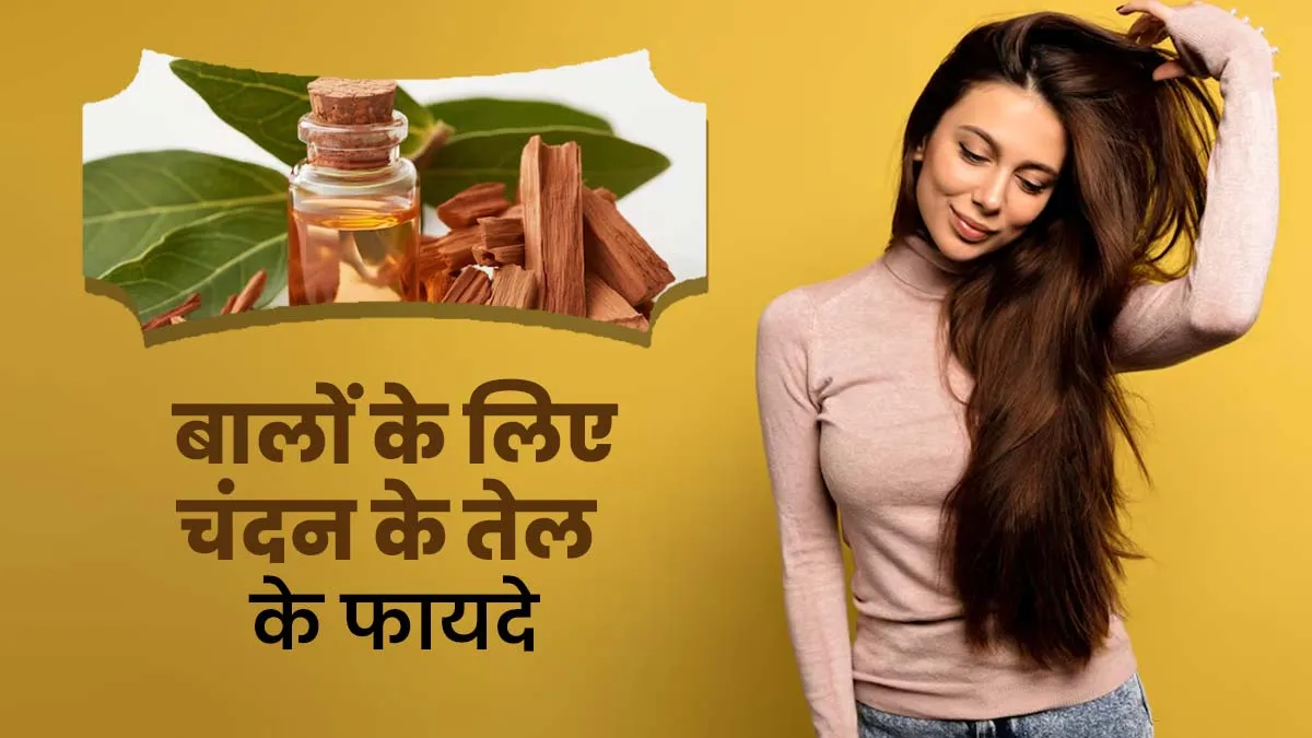 बालों को स्वस्थ रखने के लिए कैसे करें चंदन के तेल का इस्तेमाल? मिलेंगे कई फायदे