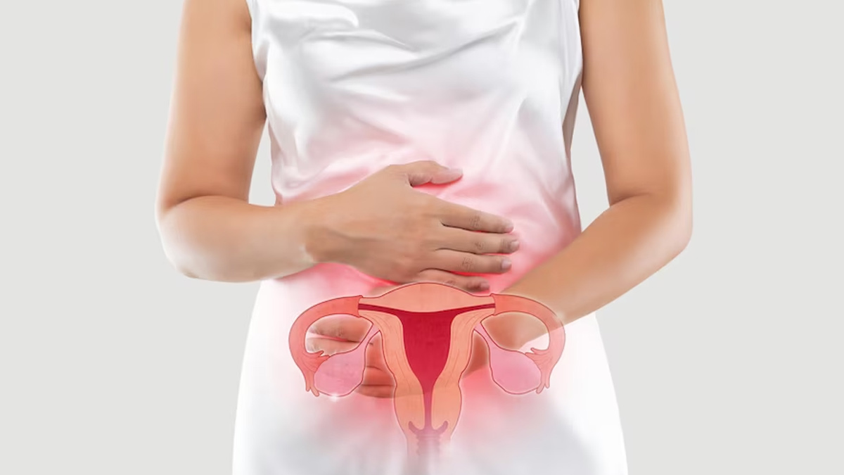 ओवरी के नॉन-फंक्शनल सिस्ट क्या होते हैं?- What are non-functional ovarian cysts Main-ovarian-cancer