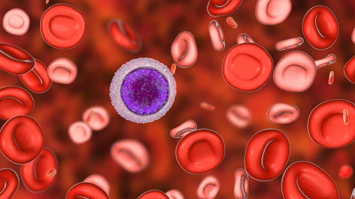 थैलेसीमिया से बचाव के तरीका- Ways to prevent Thalassemia Thalassemia-inside