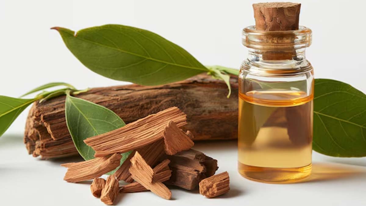 uses and benefits of sandalwood oil to keep hair healthy in hindi 01 (3)
