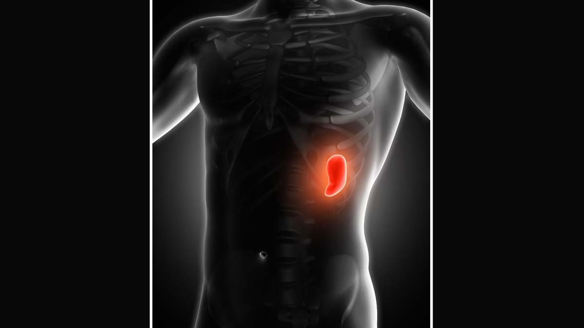 what should one eat when spleen is enlarged in hindi mian