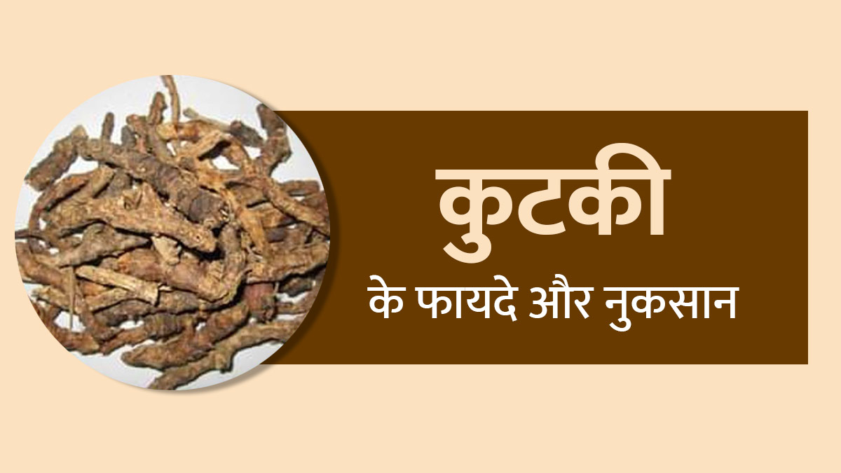 सेहत के लिए बेहद फायदेमंद मानी जाती है कुटकी, जानें इसके फायदे और नुकसान